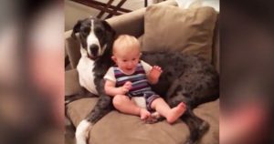 baby and dog couch potatoes
