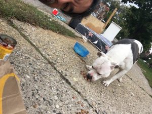 abandoned dog boo waits - eats food