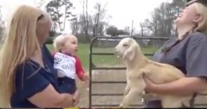 Baby Girl Mimics Goat