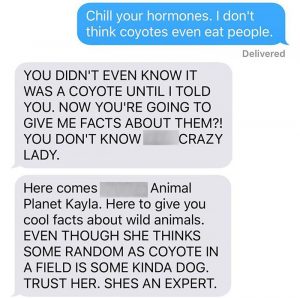 woman texts husband after bringing in a puppy - really a coyote