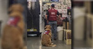 lowe's hired dog and veteran viral photo facebook