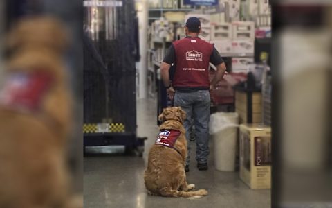 lowe's hired dog and veteran viral photo facebook