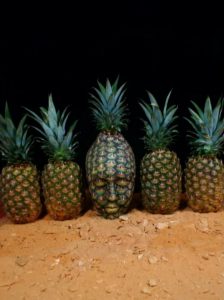 Johannes Stötter body paint artist pineapple