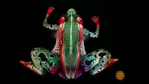 body paint artist frog Johannes Stötter