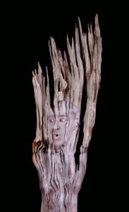 body paint artist tree Johannes Stötter