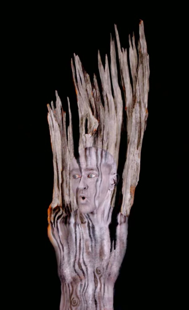 body paint artist Johannes Stötter - Stotter - tree
