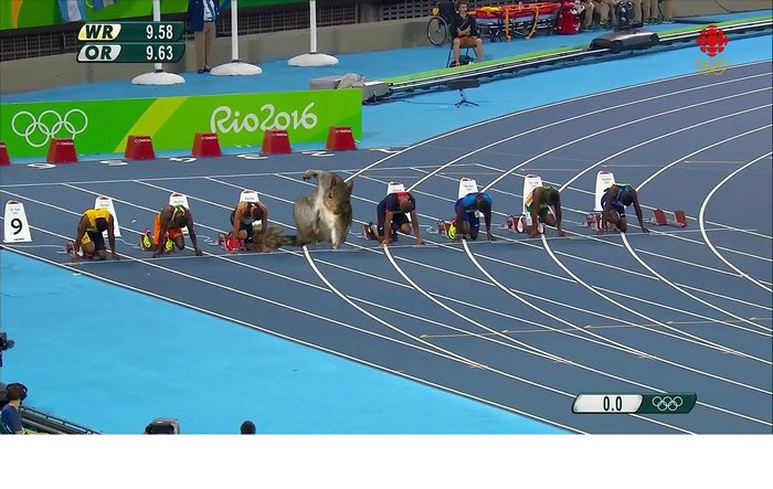 Squirrel's Super Hero Pose _ Photoshop _ Photos _ track _ olympics _ everythinginspirational