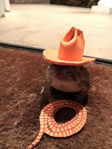 Man Made Tiny Hats for Frequent Toad Visitor _ cowboy _ all created