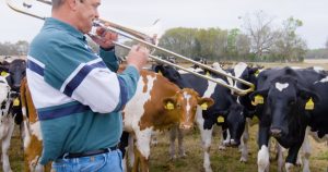 Dairy Farmer Performs Rgularly For His Jazz-Loving Cows _ everything inspirational