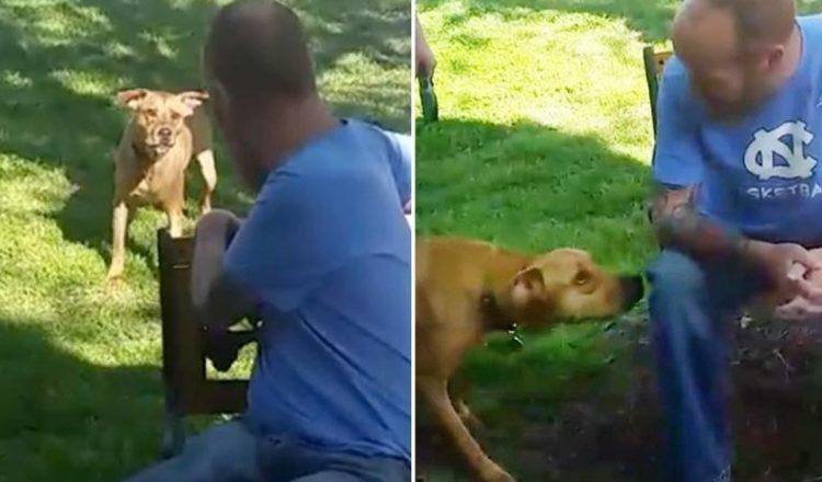 Hospitalized Man Not Recognized By His Own Dog _ Pup Sniffs him _ everything inspirational