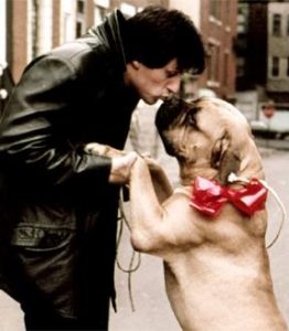 Rocky Star Was So Broke He Had to Sell His Dog _ Butkus _ everything inspirational