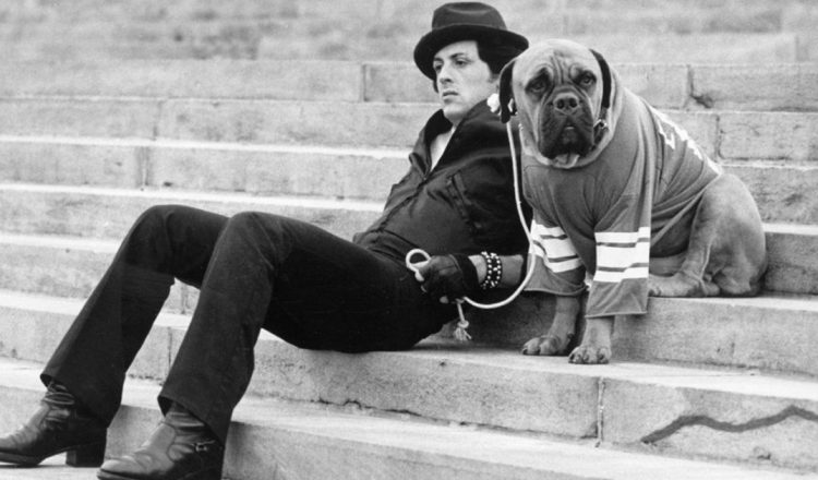 Rocky Star Was So Broke He Had to Sell His Dog _ everything inspirational