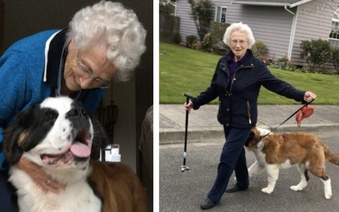 Widow Befriends Neighbor's Puppy And The Two Are Inseparable _ everything inspirational