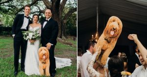 Leo Dog Couldn't Make Wedding Dad brought next best thing _ Hillary Bowles _ Everything Inspirational