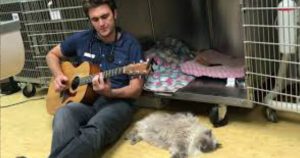 Talented Veterinarian Sings To Calm His Furry Patients