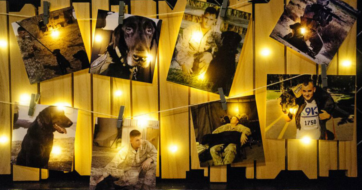 Military Dog is Given a Very Emotional Hero's Goodbye_ everything inspirational