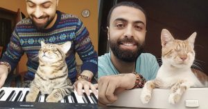 Sarper Duman _ Blind Cat Reaction to Piano video _ everything inspirational