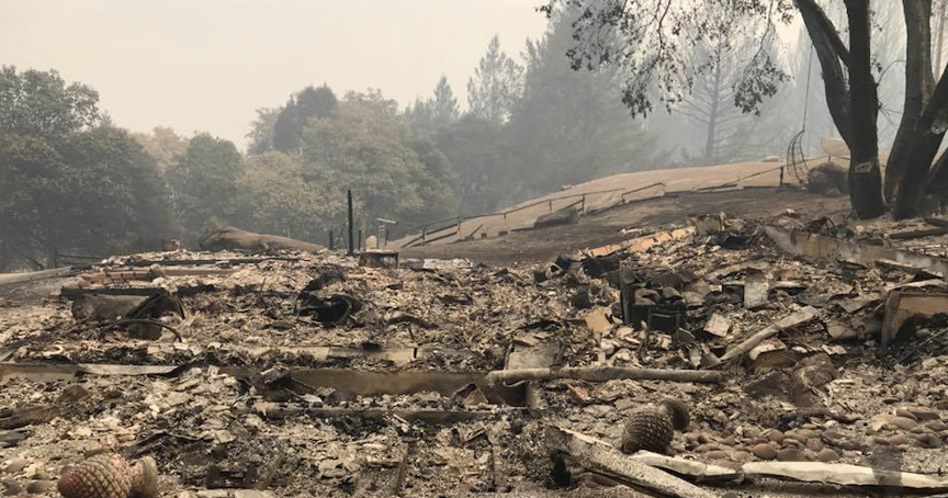 California Fires Threatened Their Goat herd hero Dog Refused To Leave _ god updates