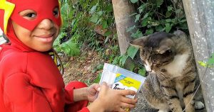 Boy Saves Homeless Cats While Dressed As A Super Hero_ everything inspirational