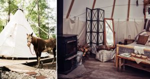 unusual airbnb homes _ everythinginspirational